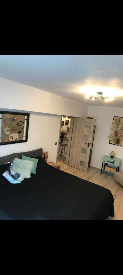 Artstudio Braşov Eksteriør bilde